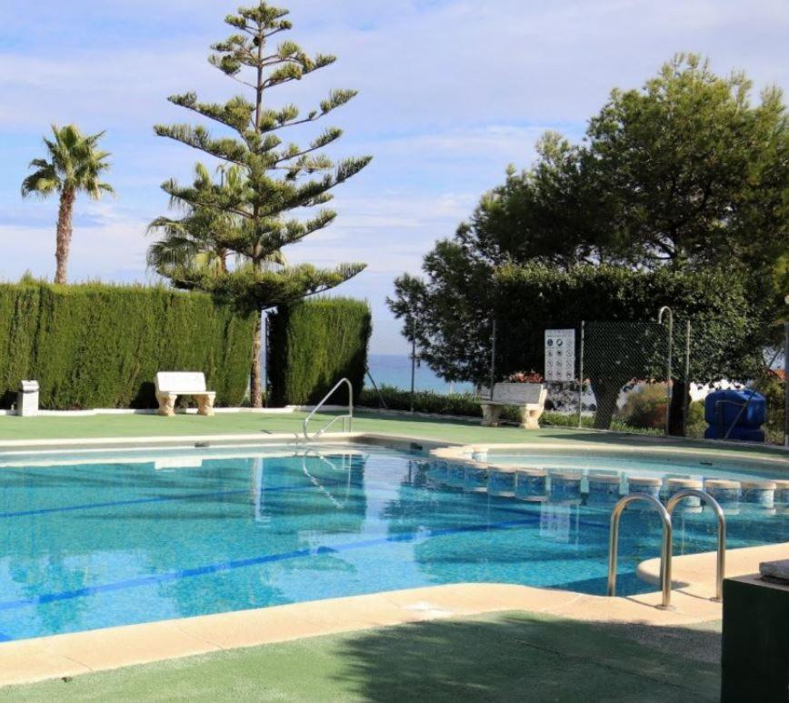 Apartment With Sea View, La Mata Торевьиа Экстерьер фото